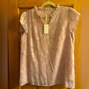 NWT beautiful fully lined light pink blouse